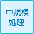 中規模処理