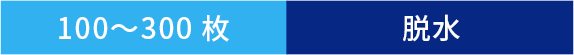 100~300枚 脱水