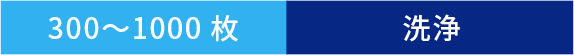 300~1000枚 洗浄