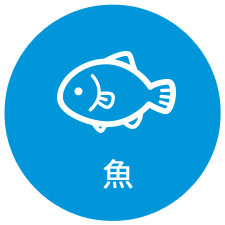 魚アイコン